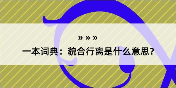 一本词典：貌合行离是什么意思？