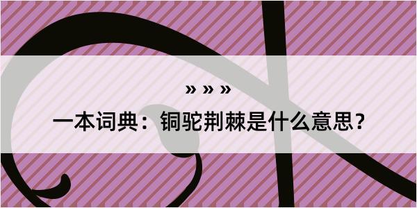 一本词典：铜驼荆棘是什么意思？