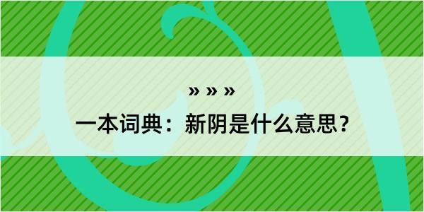 一本词典：新阴是什么意思？