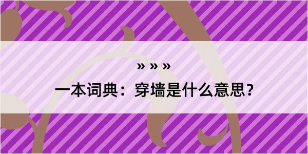 一本词典：穿墙是什么意思？