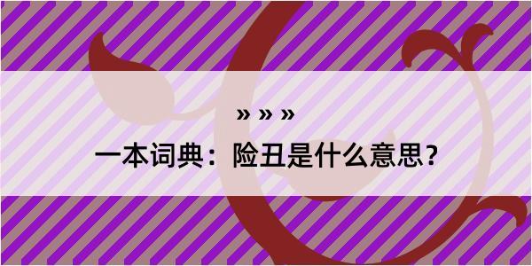 一本词典：险丑是什么意思？