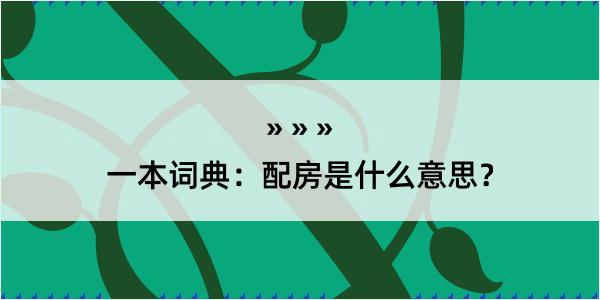 一本词典：配房是什么意思？