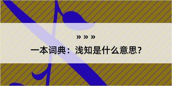 一本词典：浅知是什么意思？