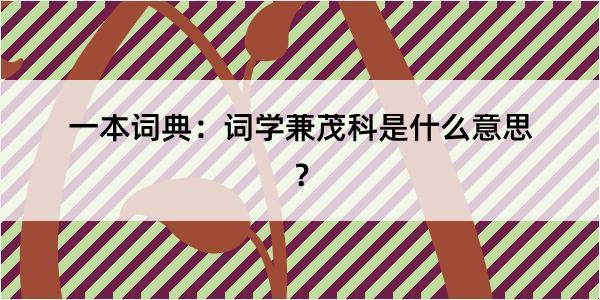 一本词典：词学兼茂科是什么意思？