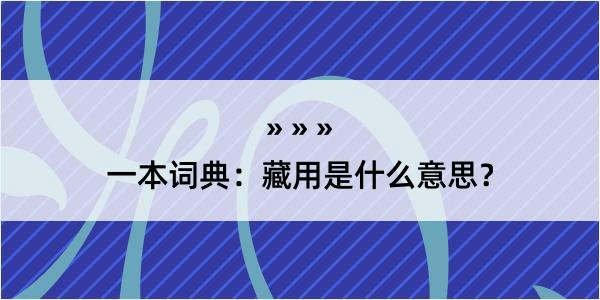 一本词典：藏用是什么意思？