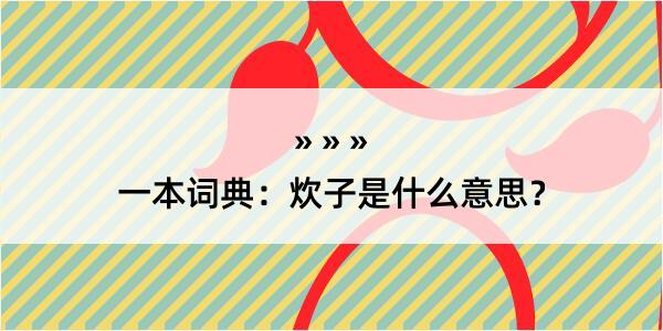 一本词典：炊子是什么意思？