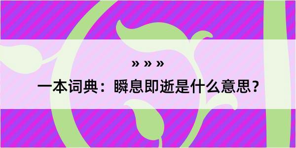 一本词典：瞬息即逝是什么意思？