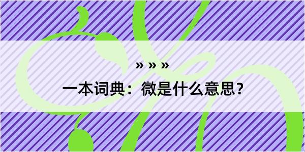 一本词典：微是什么意思？