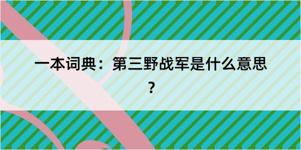 一本词典：第三野战军是什么意思？