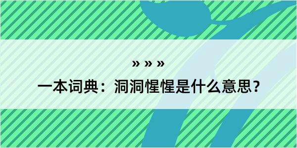 一本词典：洞洞惺惺是什么意思？