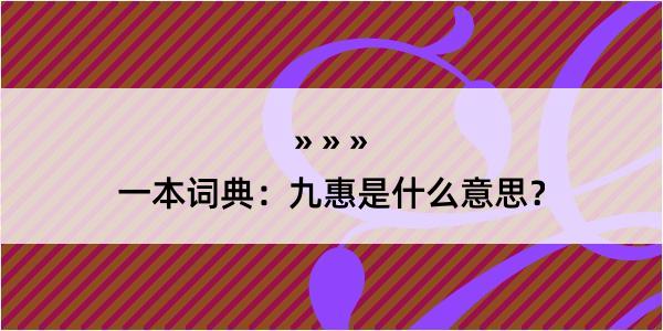 一本词典：九惠是什么意思？