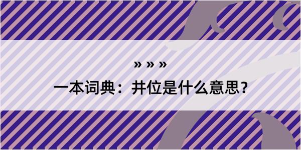 一本词典：井位是什么意思？