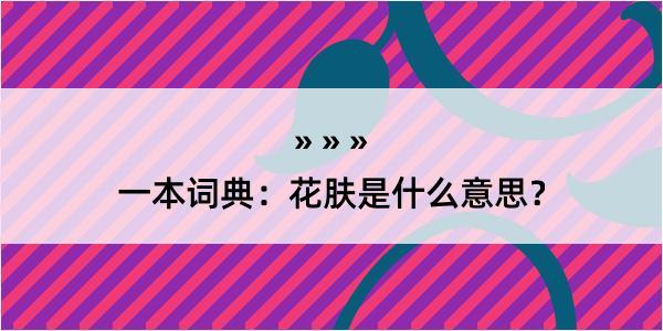 一本词典：花肤是什么意思？