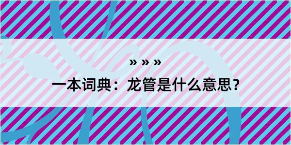 一本词典：龙管是什么意思？