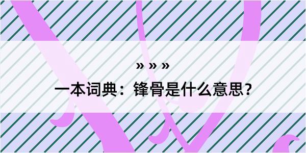 一本词典：锋骨是什么意思？