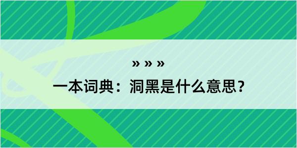 一本词典：洞黑是什么意思？