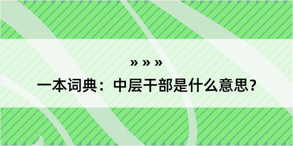 一本词典：中层干部是什么意思？