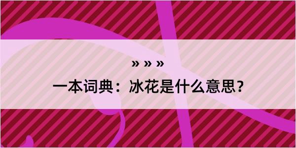 一本词典：冰花是什么意思？