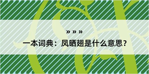 一本词典：凤晒翅是什么意思？