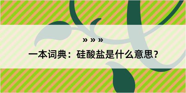 一本词典：硅酸盐是什么意思？