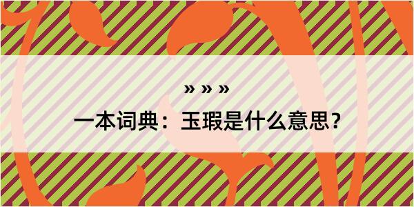 一本词典：玉瑕是什么意思？