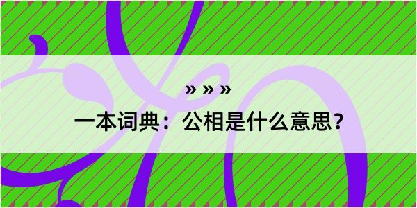 一本词典：公相是什么意思？