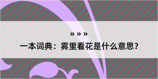 一本词典：雾里看花是什么意思？