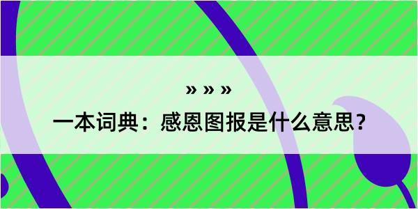 一本词典：感恩图报是什么意思？