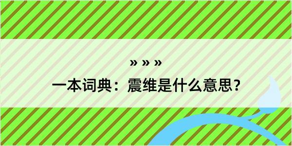 一本词典：震维是什么意思？