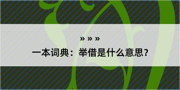 一本词典：举借是什么意思？