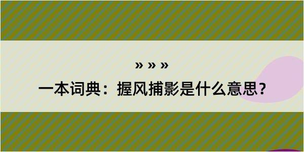 一本词典：握风捕影是什么意思？