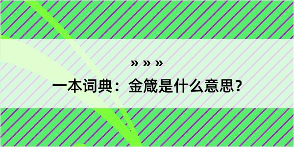 一本词典：金箴是什么意思？