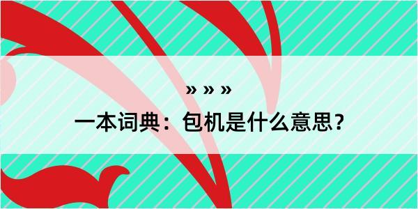 一本词典：包机是什么意思？