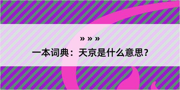 一本词典：天京是什么意思？