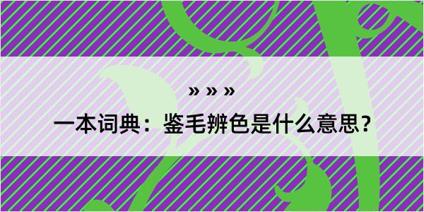 一本词典：鉴毛辨色是什么意思？