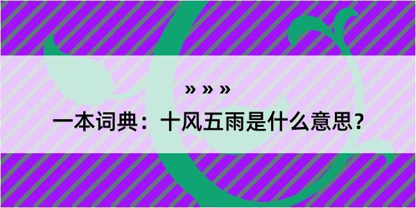 一本词典：十风五雨是什么意思？