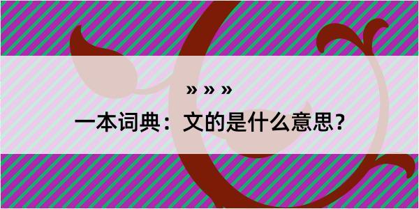 一本词典：文的是什么意思？