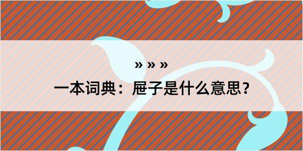 一本词典：屉子是什么意思？