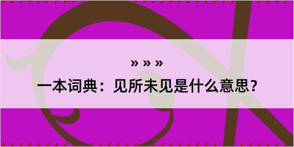 一本词典：见所未见是什么意思？