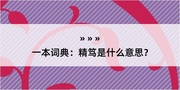 一本词典：精笃是什么意思？