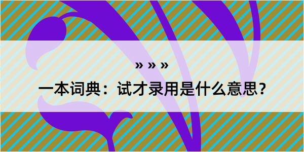 一本词典：试才录用是什么意思？