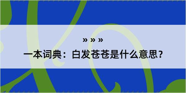 一本词典：白发苍苍是什么意思？