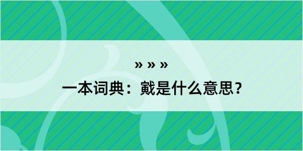 一本词典：戭是什么意思？