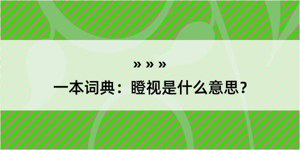 一本词典：瞪视是什么意思？