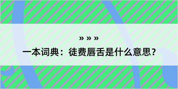 一本词典：徒费唇舌是什么意思？