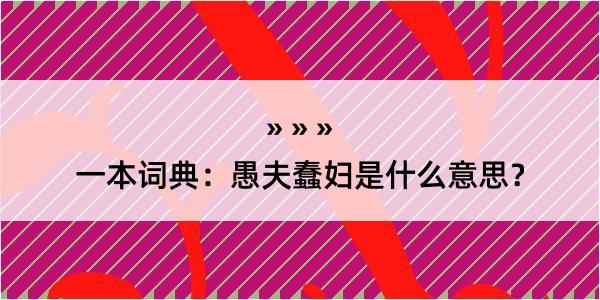 一本词典：愚夫蠢妇是什么意思？