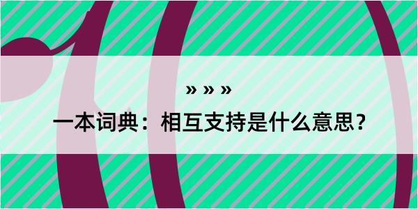 一本词典：相互支持是什么意思？