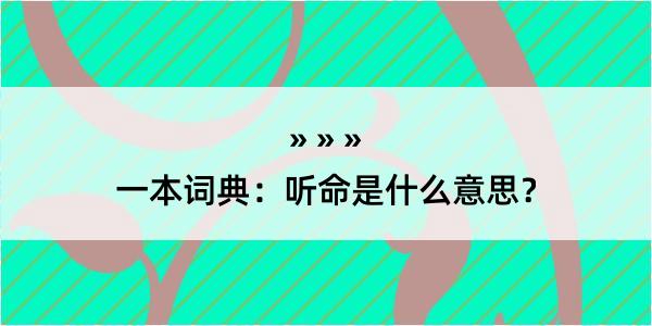 一本词典：听命是什么意思？