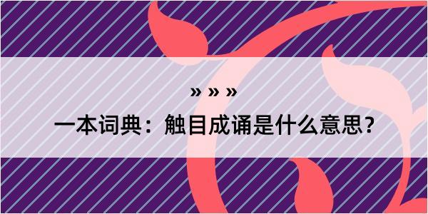 一本词典：触目成诵是什么意思？