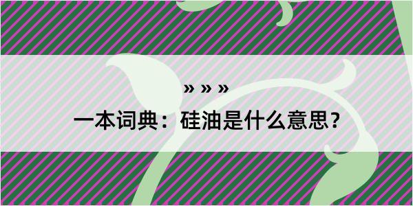 一本词典：硅油是什么意思？